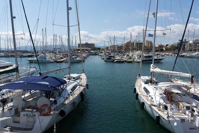 palma